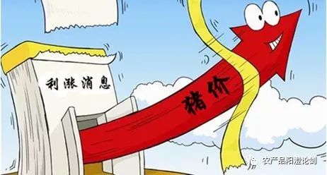 国内玉米市场能否安然“度夏”？