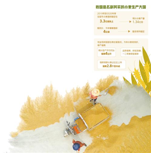 6月16日，河北省唐山市丰润区任各庄镇陶立营村农民在晾晒小麦。朱大勇摄（中经视觉）